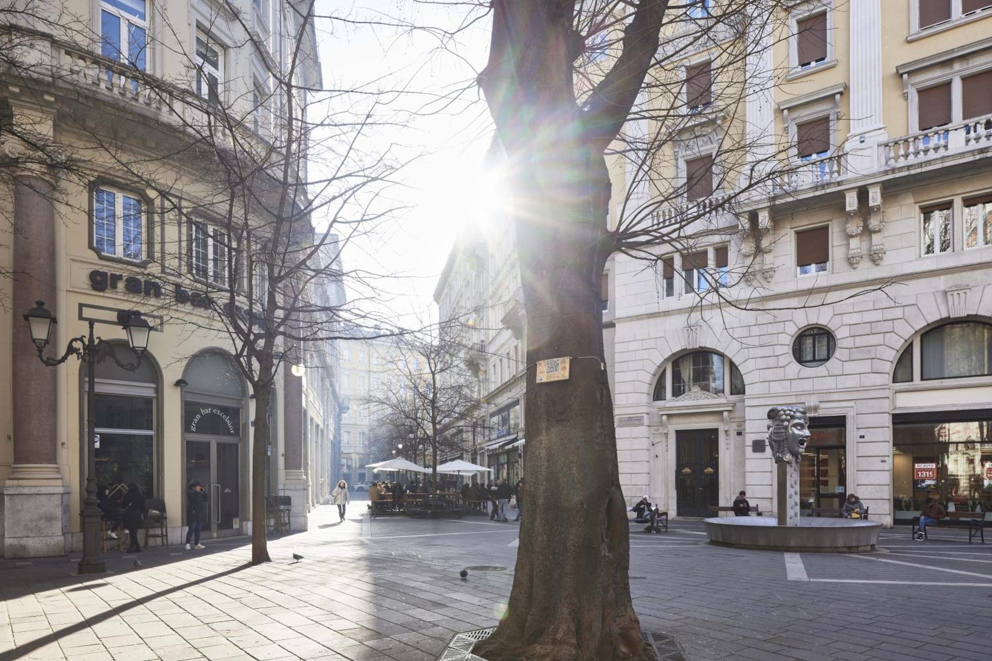 Triestinn - Viale Suite Exteriér fotografie